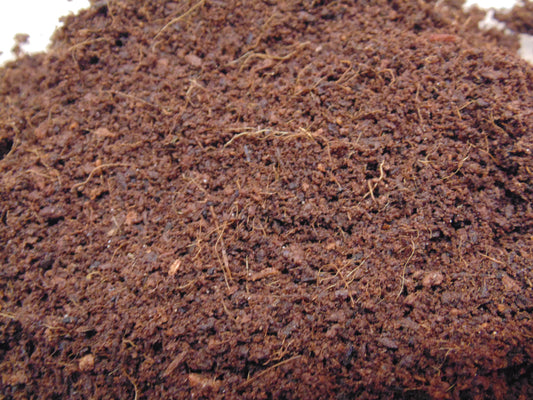 Coco Substrate 10Ltr Invertebrate and Reptile Substrate