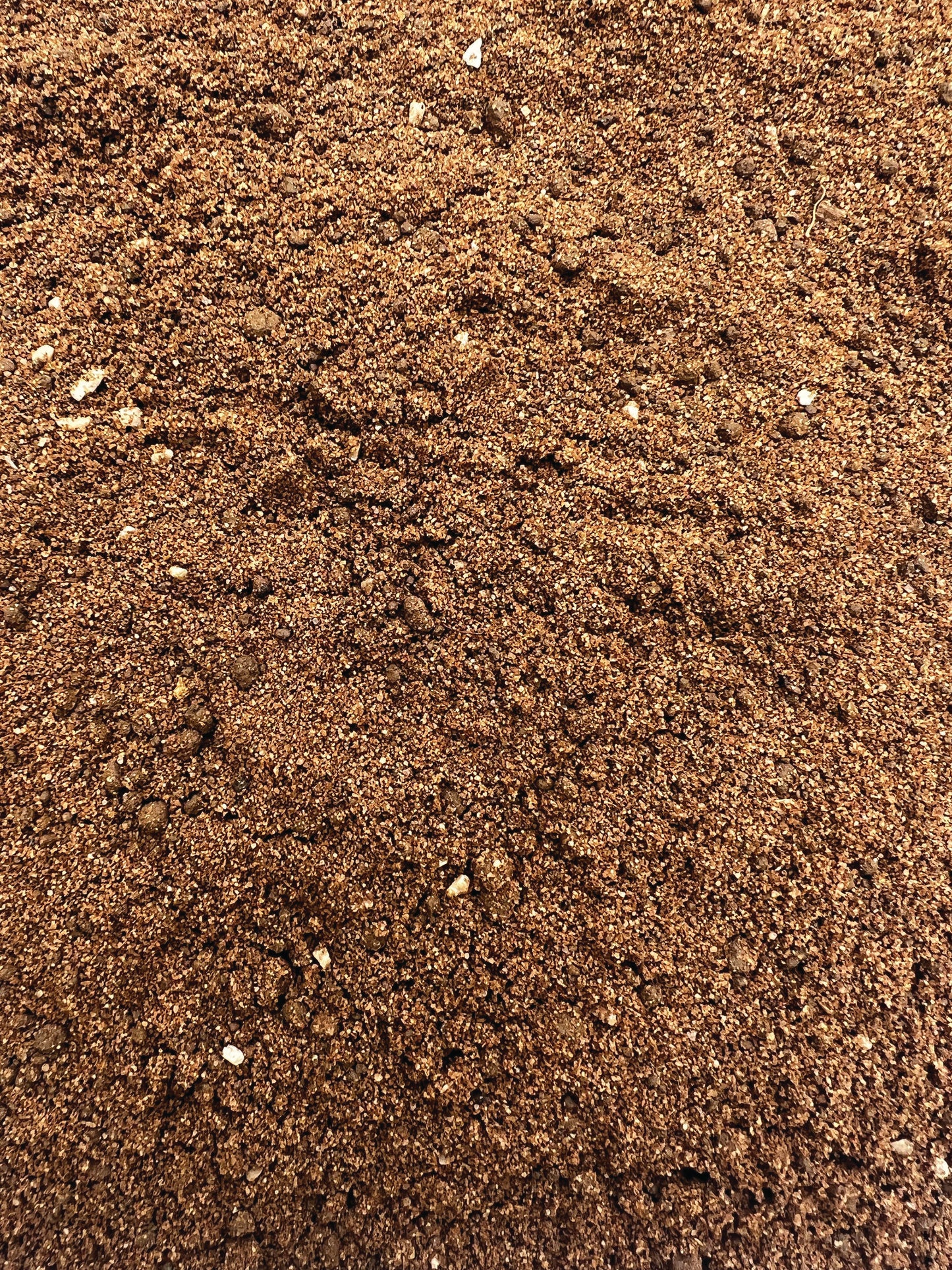 Eco Life Tortoise Den 10Kg Invertebrate and Reptile Substrate