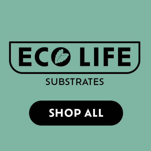 Eco Life