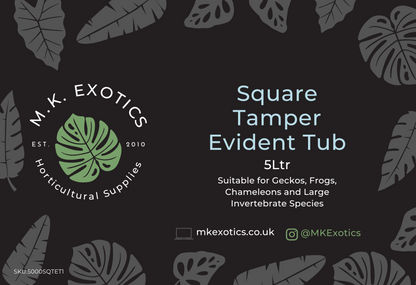 Tamper Evident Transport Tubs 5Ltr Single Invertebrate and Reptile Accessories