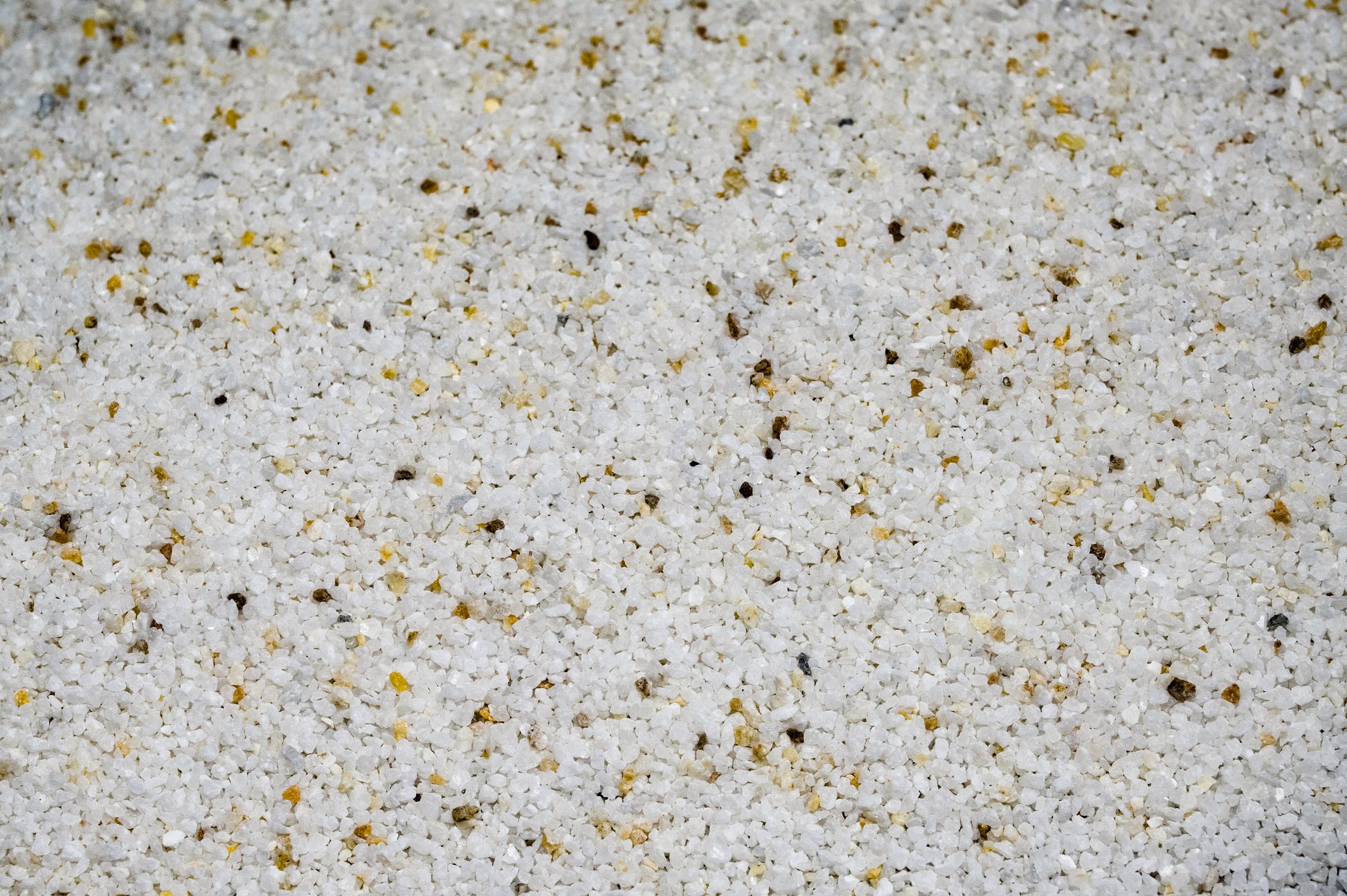 A clean white sand for a coral beach effect.
Suitable for all aquariums.