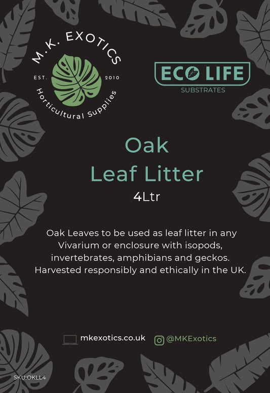 Eco Life Oak Leaf Litter 4Ltr Reptile Invertebrate Substrate