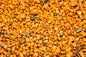 Aqualife Flame Orange Gravel 2Kg Aquatic Invertebrate Reptile Substrate